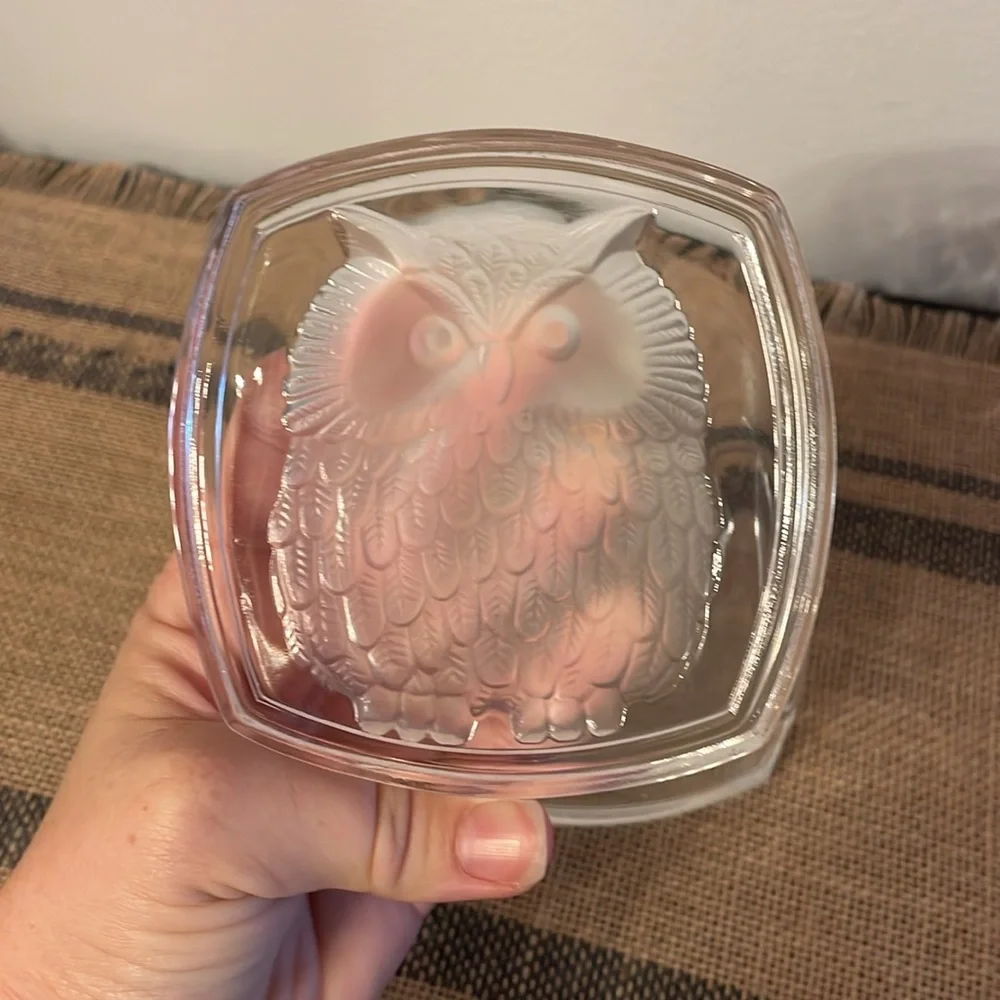 Vintage Mid Century Crystal Etched “Owl” Trinket Dish With Lid